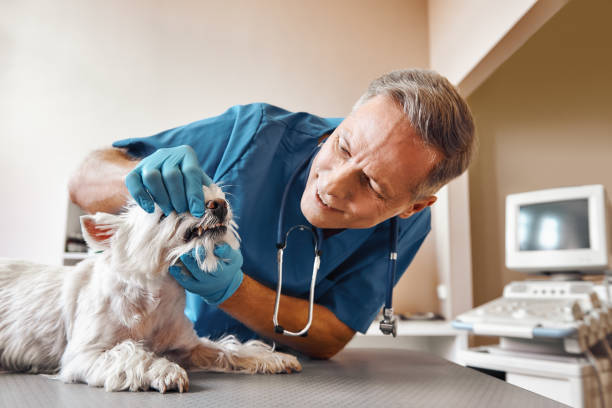 Best Emergency Gum Treatment in Prairie View, TX